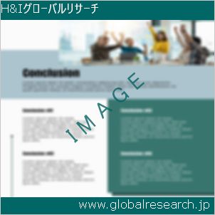 グローバルリサーチ調査レポートのイメージ